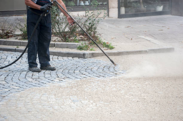 Animal Enclosure Cleaning in Maugansville, MD